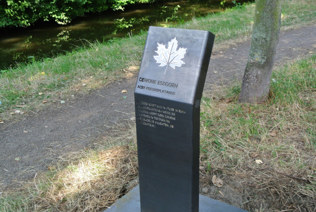 Informatiebord over bomen
