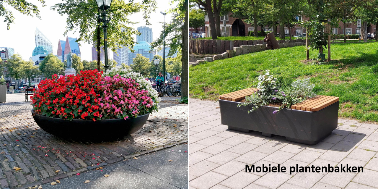 Mobiele plantenbakken